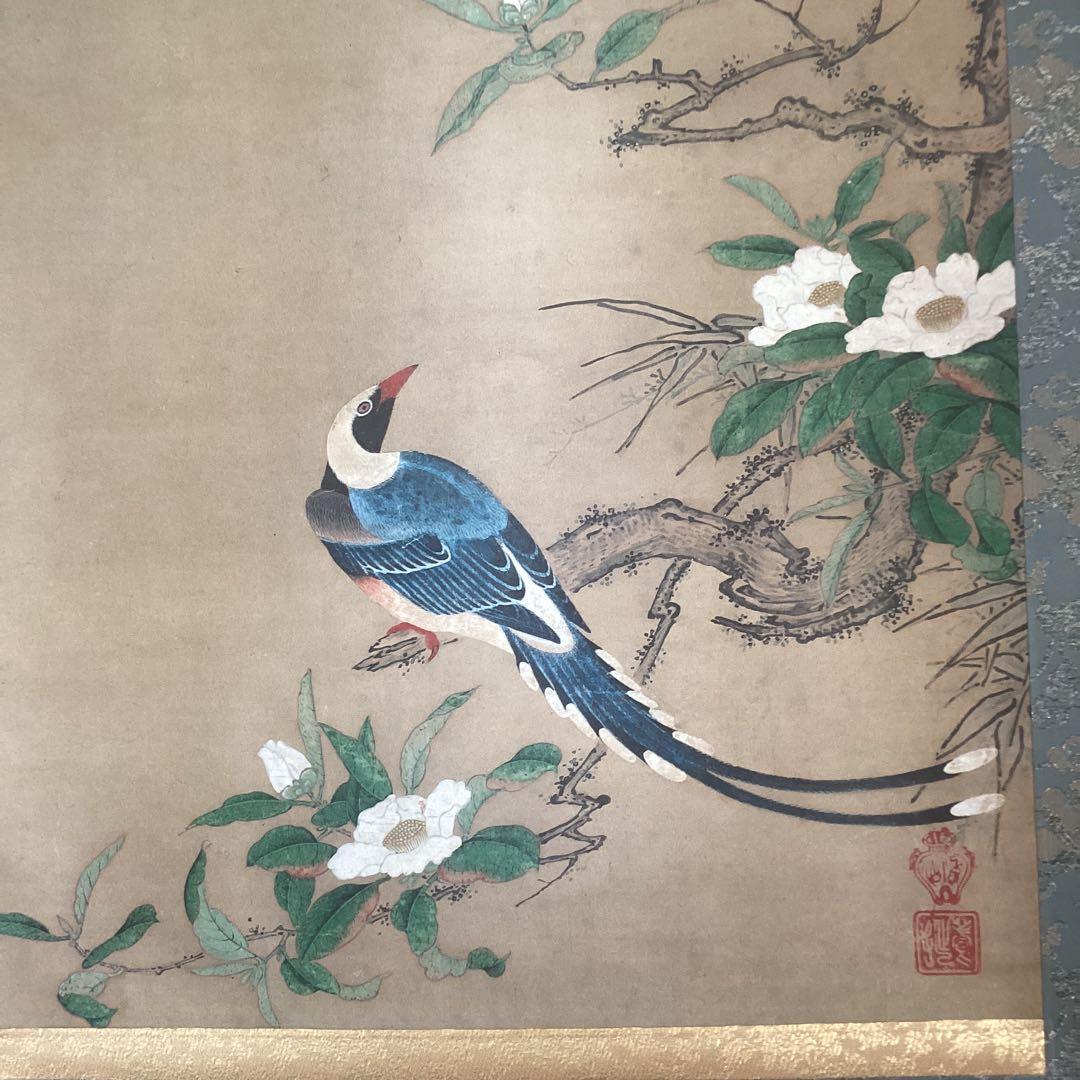 狩野養拙　椿尾長図　フランクリン画廊《認定書》サンフランシスコ美術館所蔵212