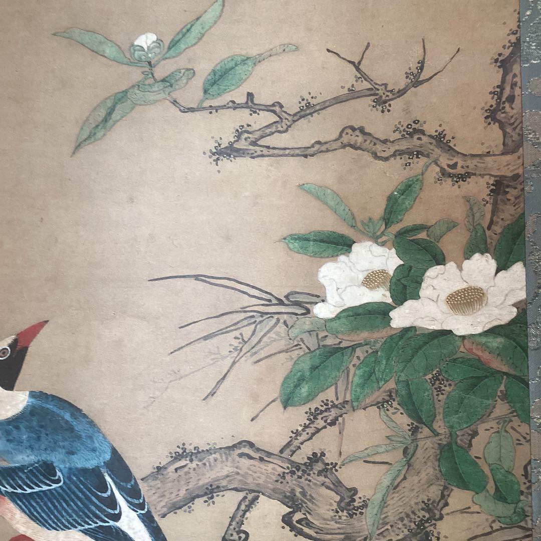 狩野養拙　椿尾長図　フランクリン画廊《認定書》サンフランシスコ美術館所蔵212