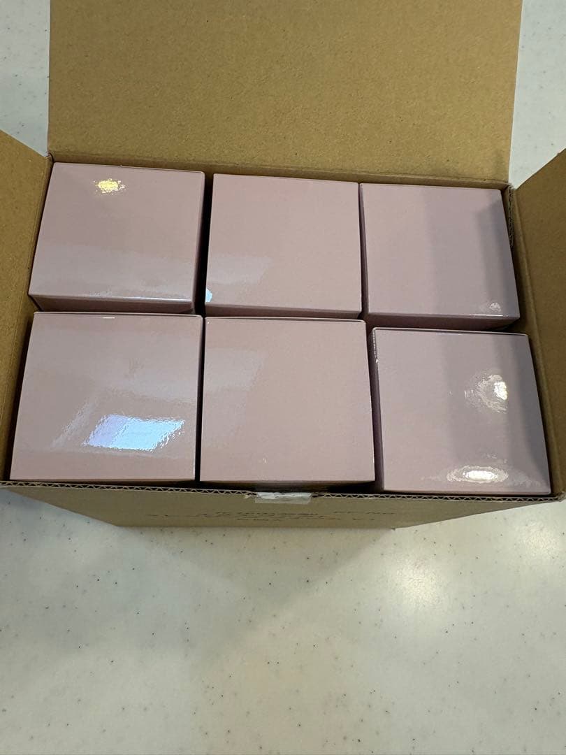 【新品】たかの友梨　エステファクト　クレンジングフォームV1 洗顔料6本