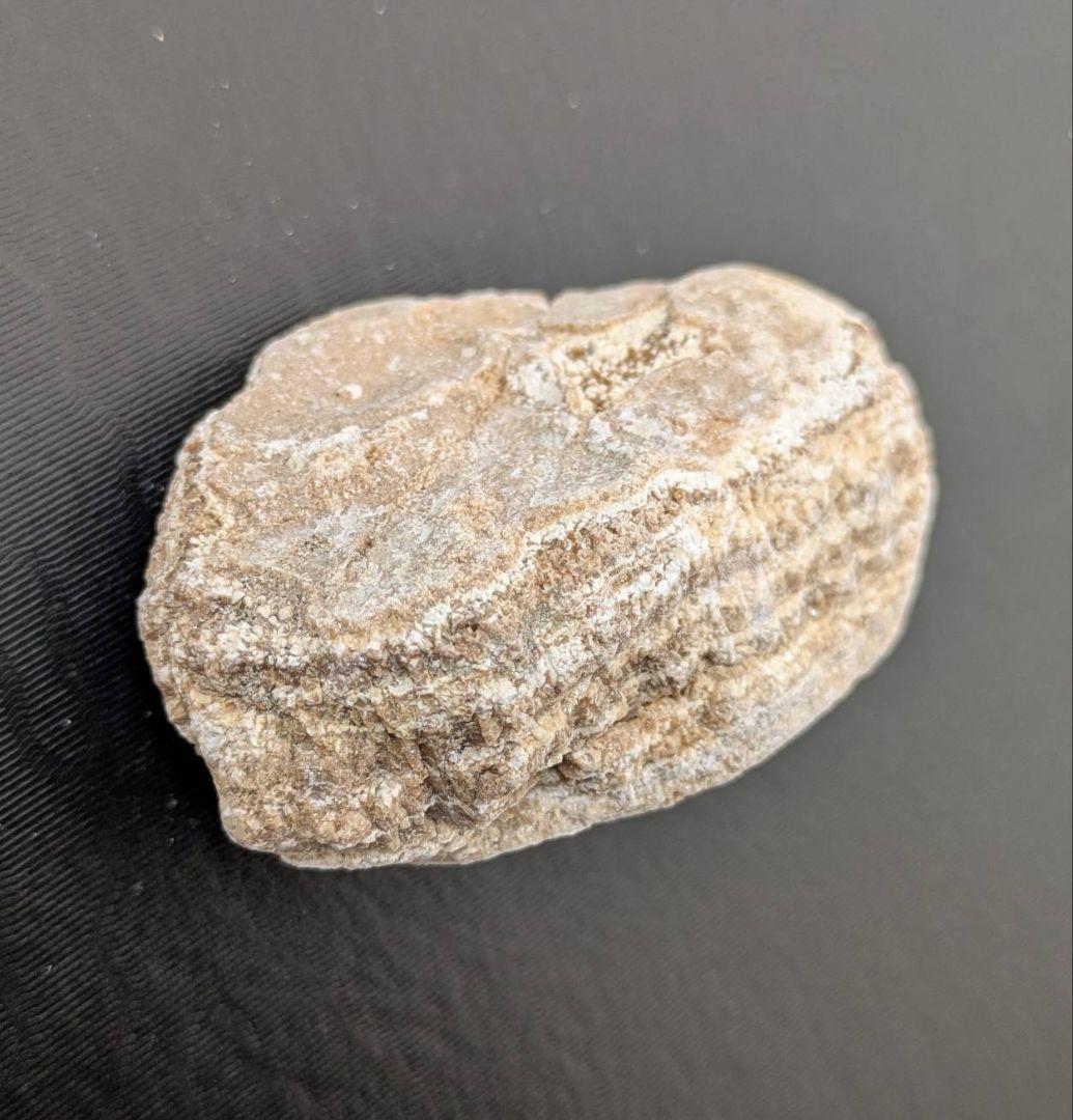 ★秋田発『北投石』１５３グラム 100%本物!! 玉川温泉産 ⛄️