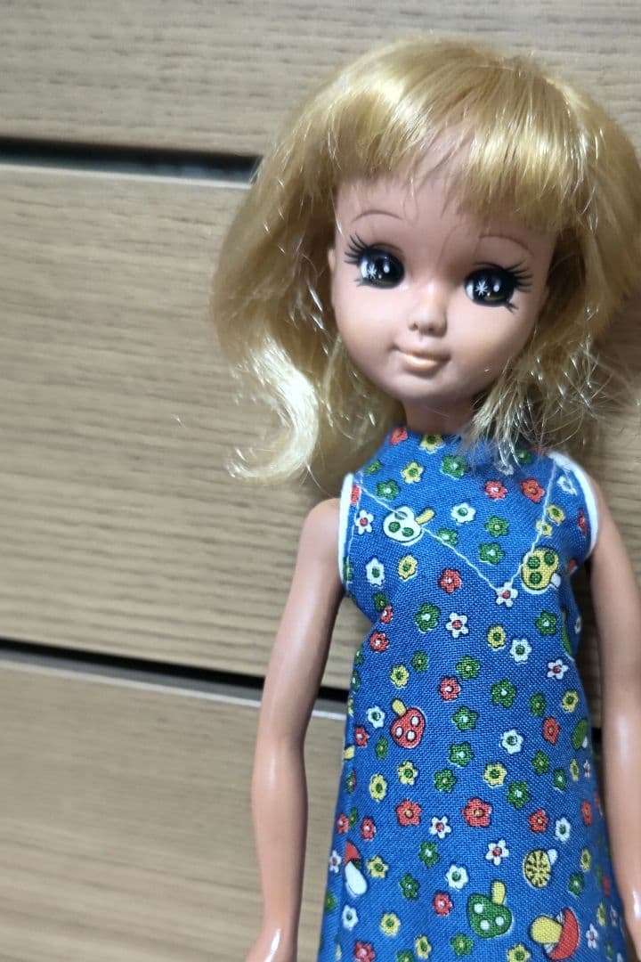 虹のナナちゃん 日焼けしちゃったシバ製作所 - メルカリ