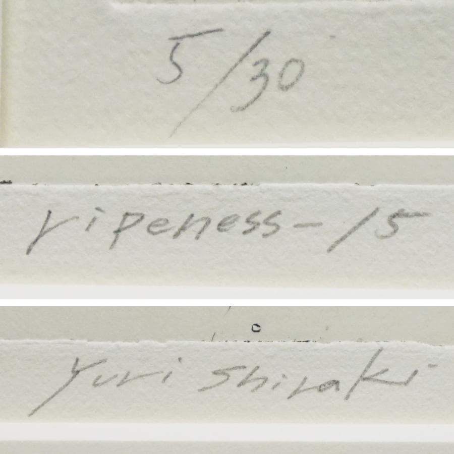 白木ゆり『ripeness-15』5/30 エッチング 版画 抽象画 絵画