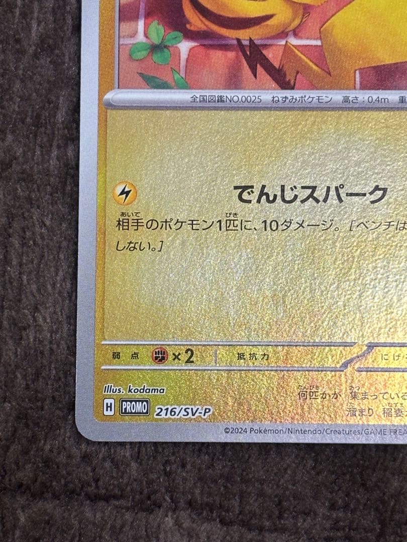 海で遊ぶピカチュウ　ポケカの夏がきた　ピカチュウ3枚セット