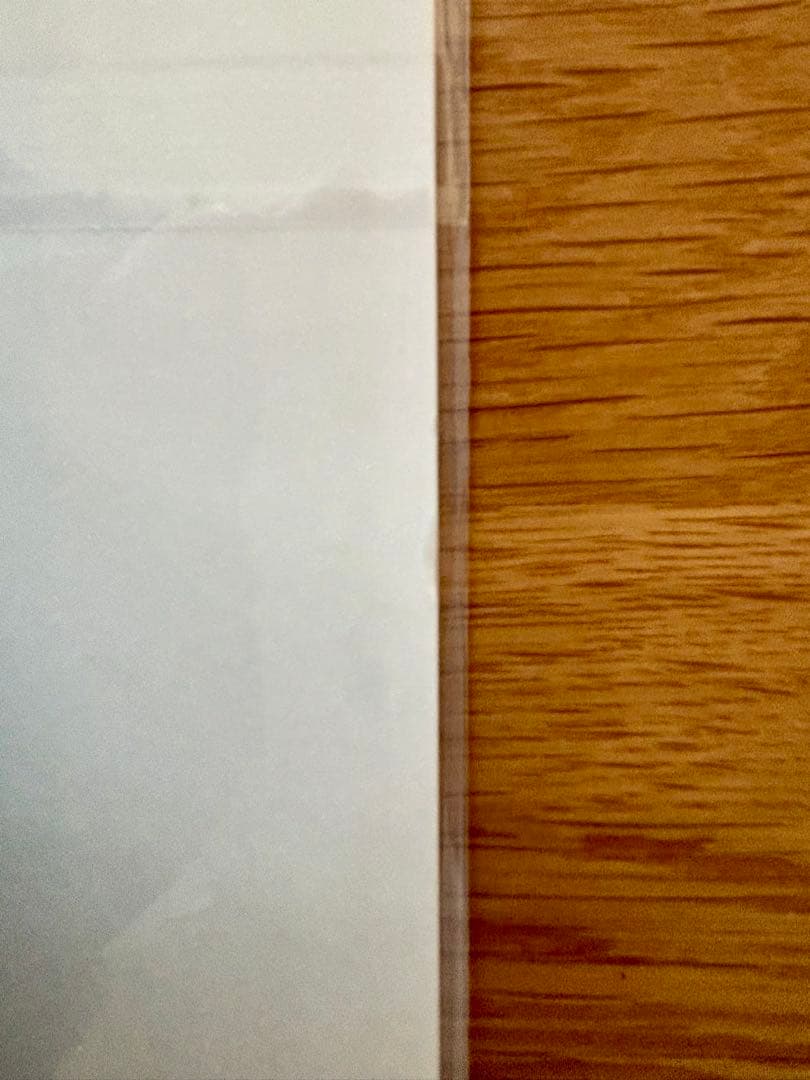 【未開封】山本二三 複製原画 2点セット ラピュタ もののけ姫 ジブリ背景画