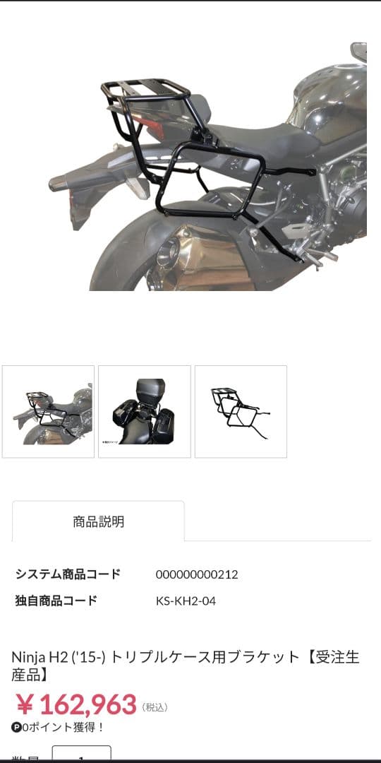 激レア！Ninja H2 ケイズスタイルパニアステー - REXANT.RU