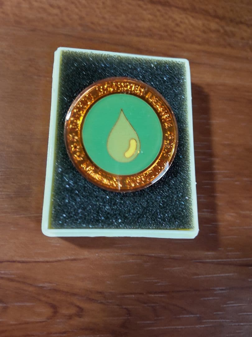 第2回ポケモンリーグ公式大会 勝利のジムバッチ【非売品】 - メルカリ