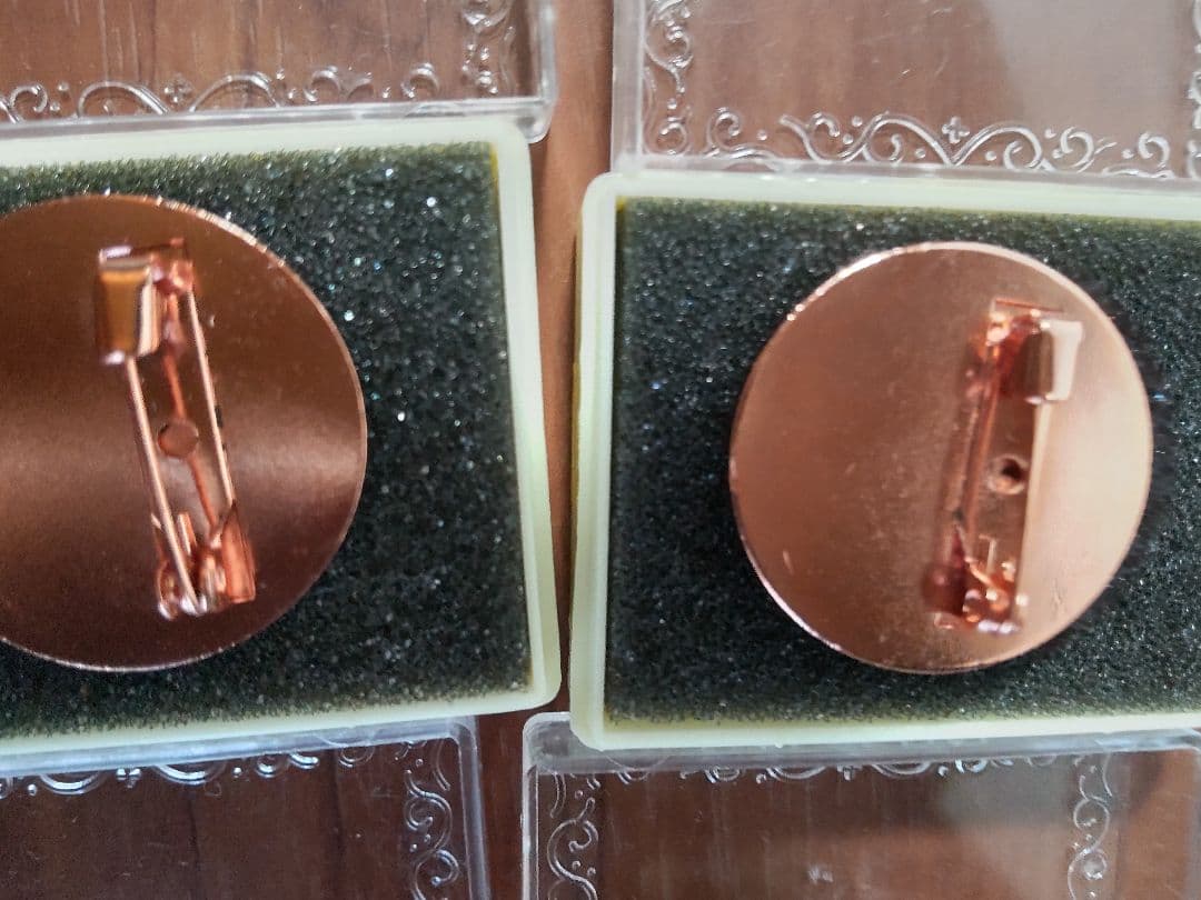 第2回ポケモンリーグ公式大会 勝利のジムバッチ【非売品】 - メルカリ