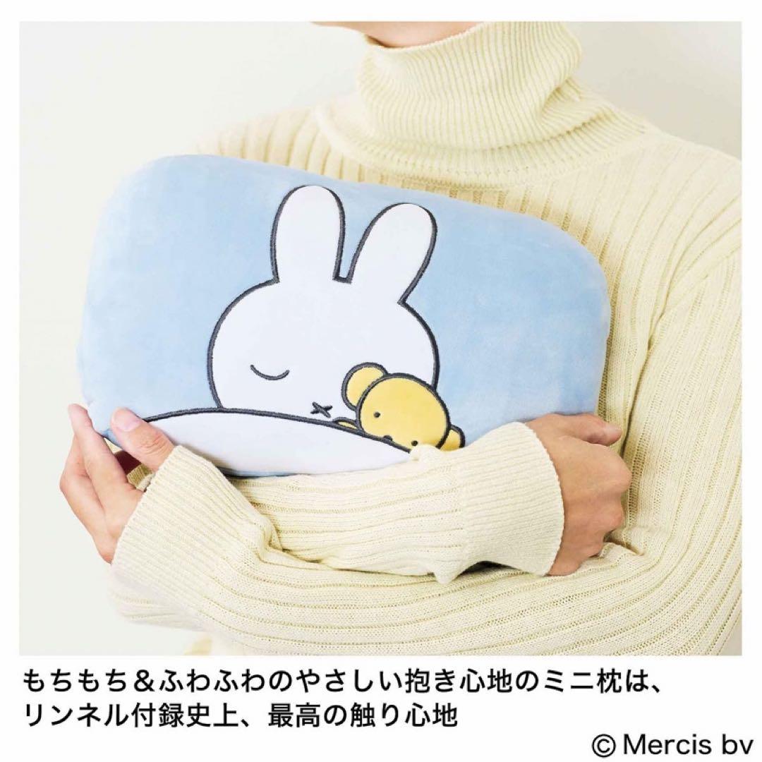 ちゅん太 管理 29 リンネル 2月号 付録