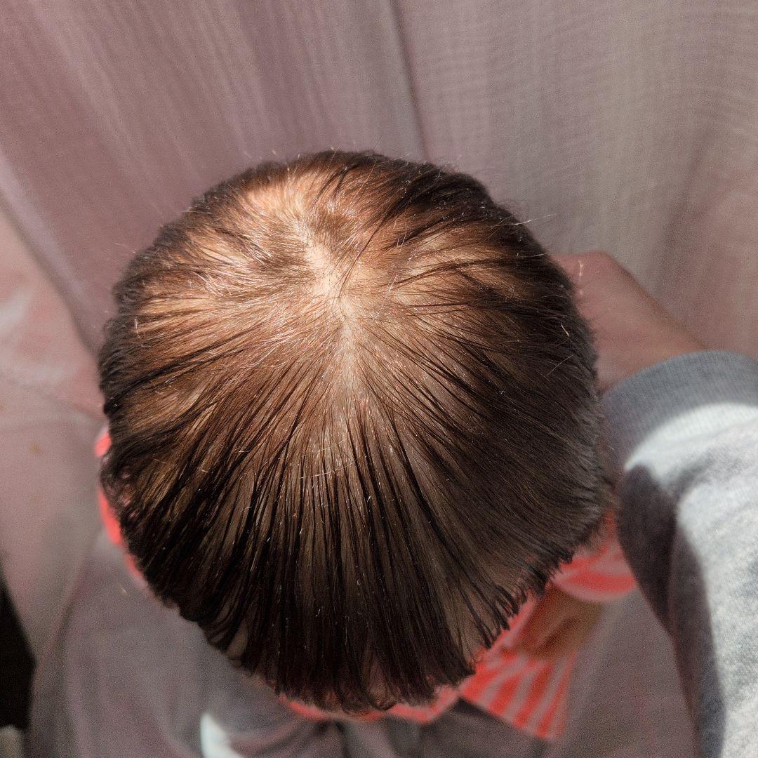 リボーンドール　トドラー　証明書付き