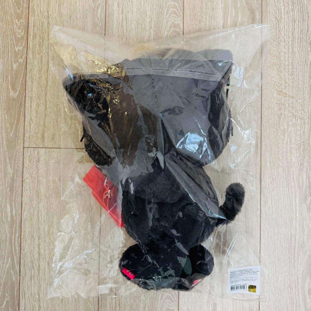 NCT WISH LOGIN キャラクターバッグ リク RIKU トレカ付き - メルカリ