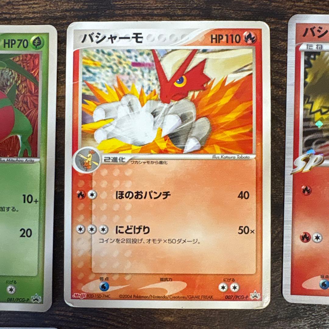 希少 愛知 万博ポケパーク限定カード ポケモンカード 限定プロモ9枚