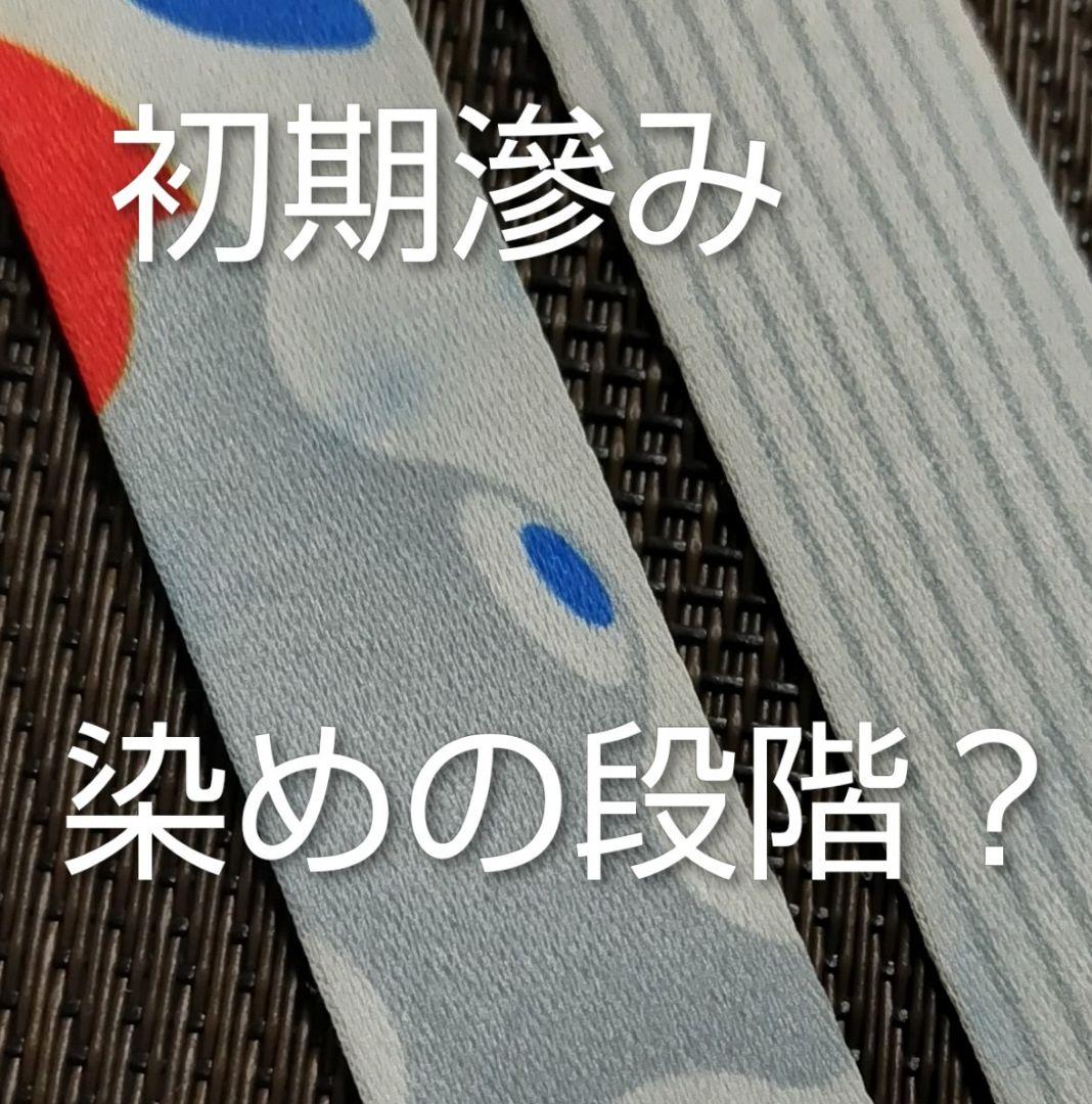 【未使用品】万博スタッフ用ネックストラップ６本＆オマケ３個【非売品】