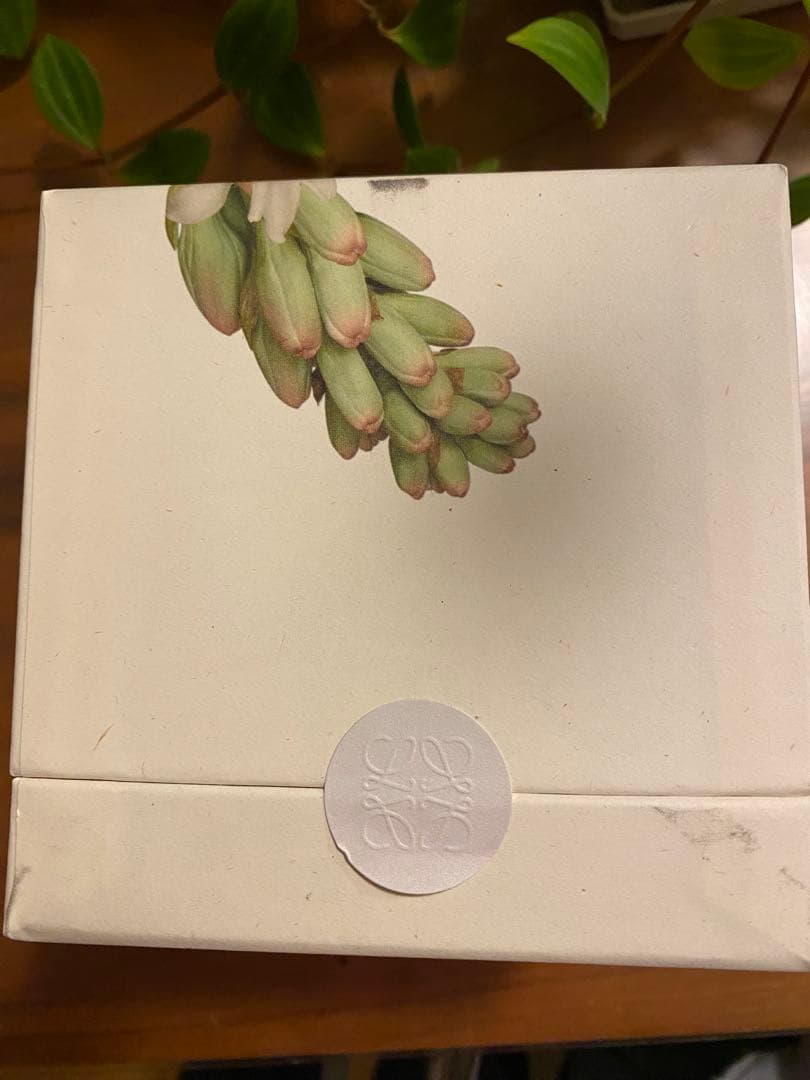 新品未使用】LEWE ロエベフレグランスキャンドル チューべローズS 170g