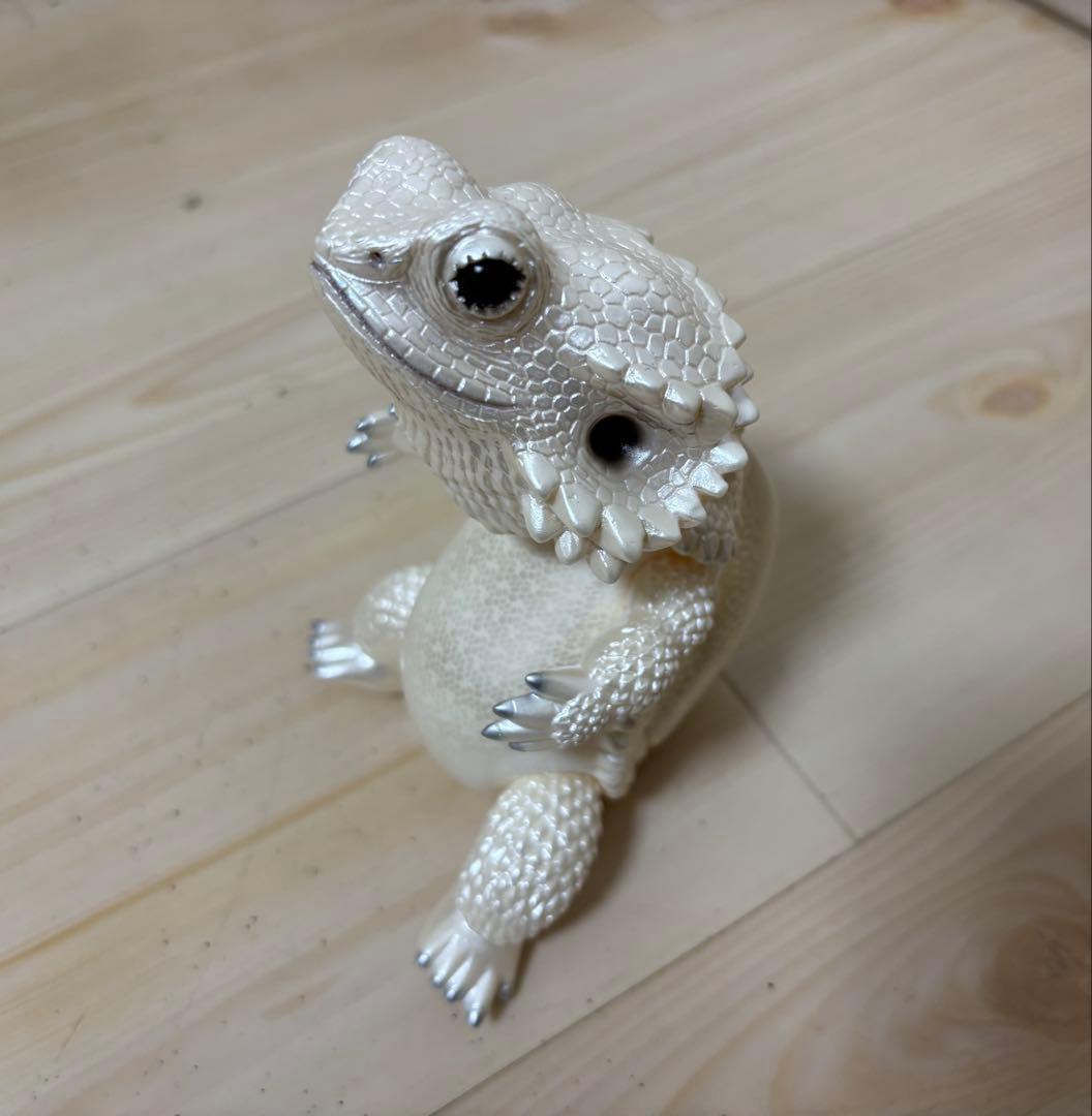 フトアゴン　4体セット