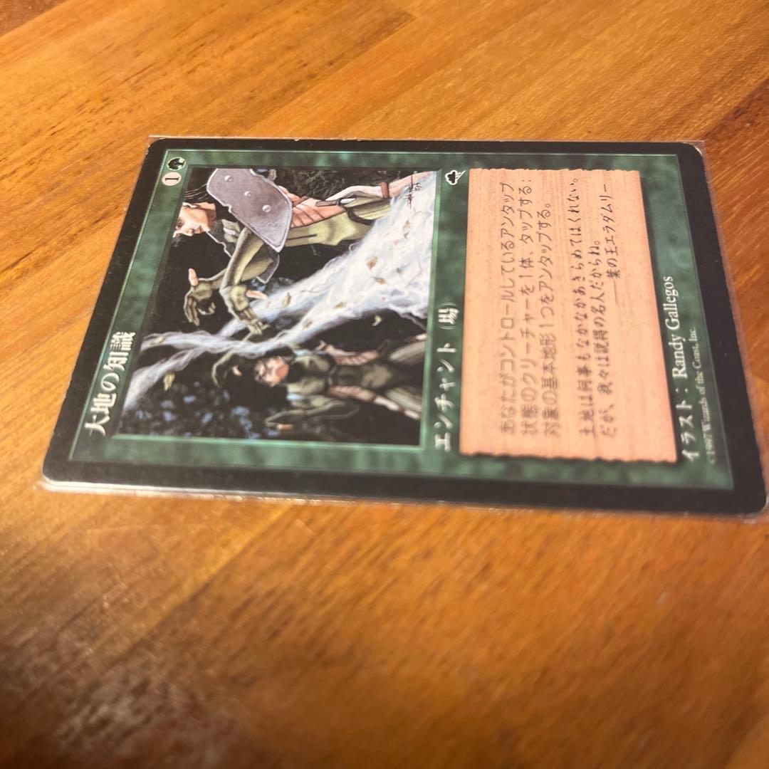 MTG 《大地の知識/Earthcraft》[TMP] 日本語