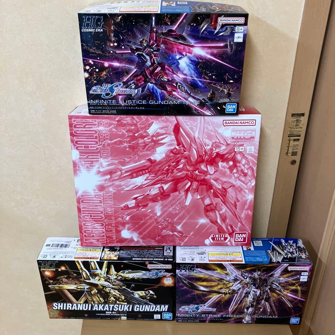 断捨離ガンプラ　1/144 三体　1/100 二体