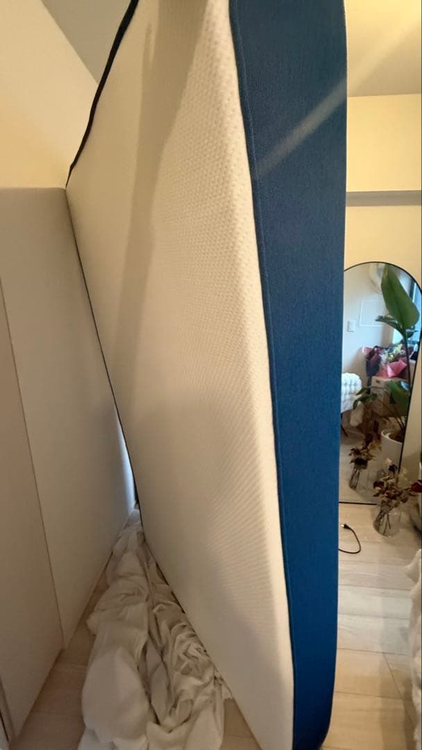 koala (R) マットレス セミダブル 【コアラマットレス】 寝具