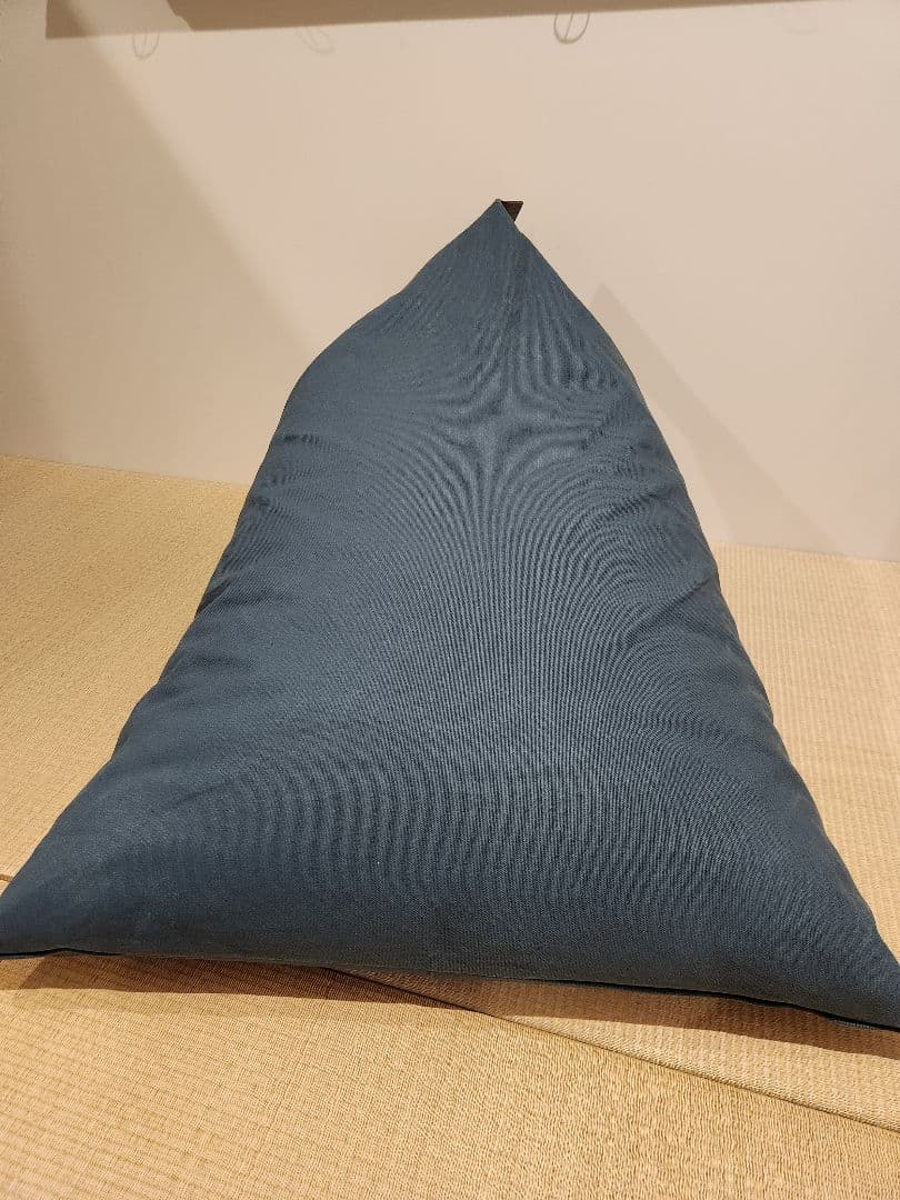 tetra 8号帆布 ビーズクッション 2色セット