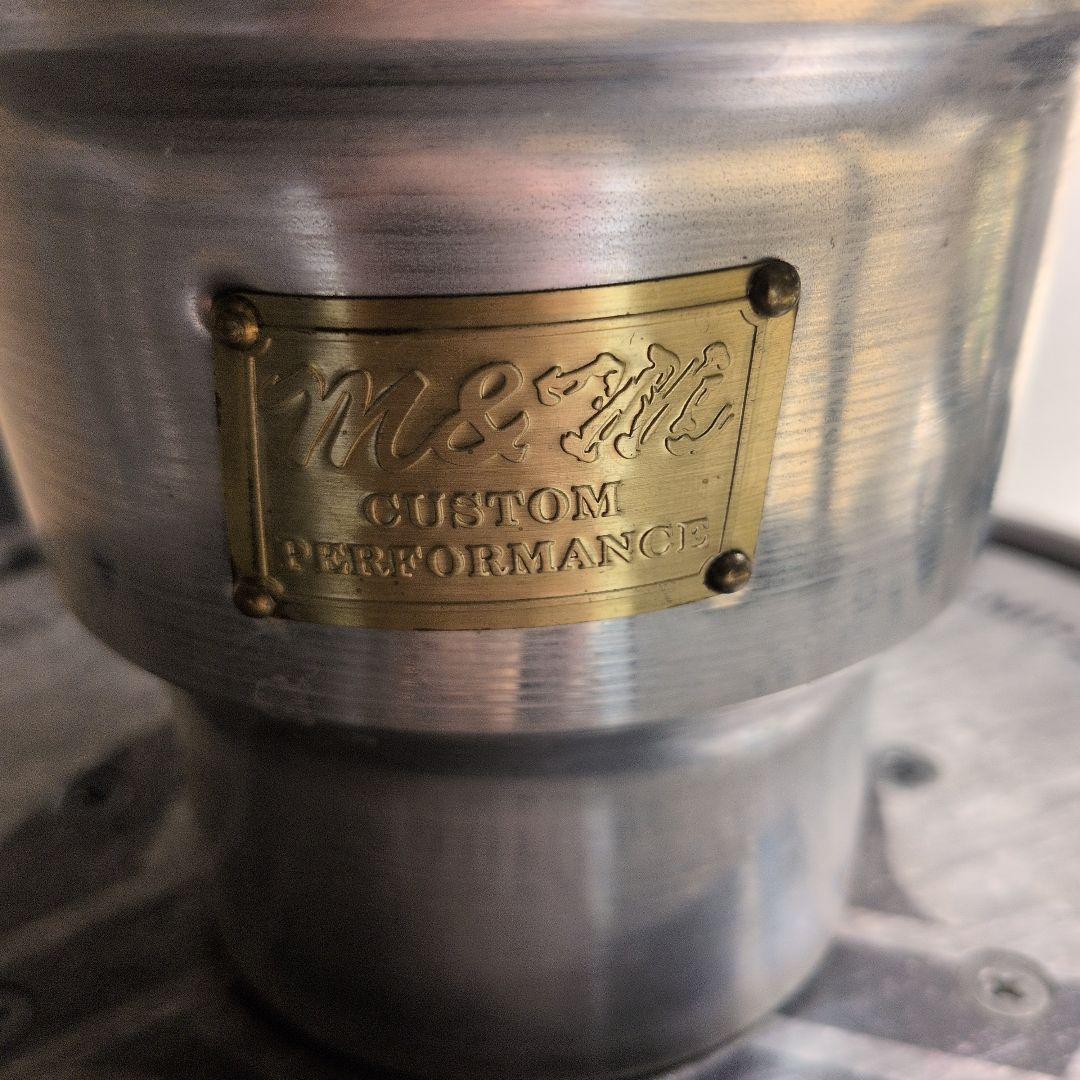 CACTUS GREEN strong spine ホリダ