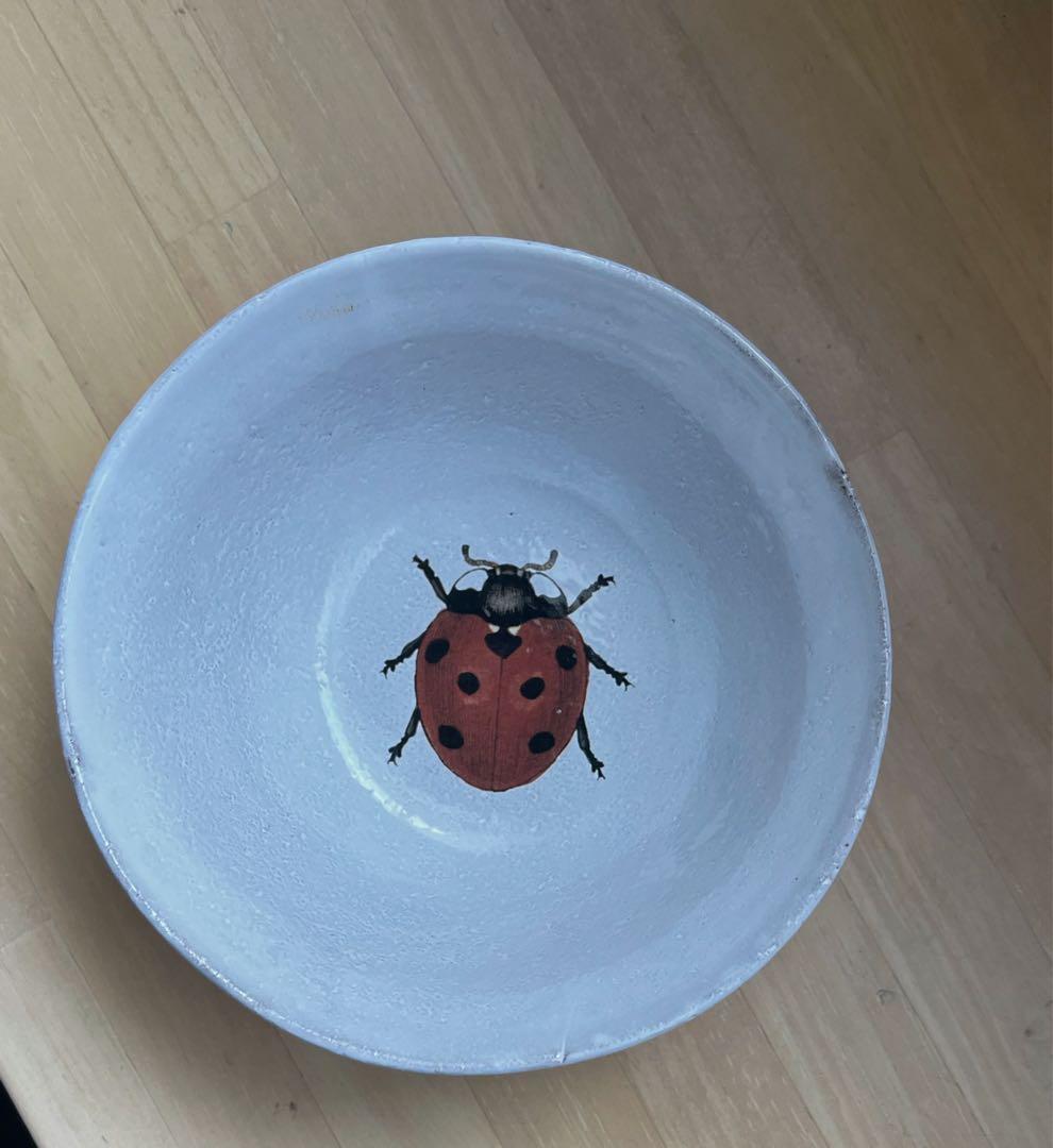John Derian Ladybug スモールスーププレート 14.5cm