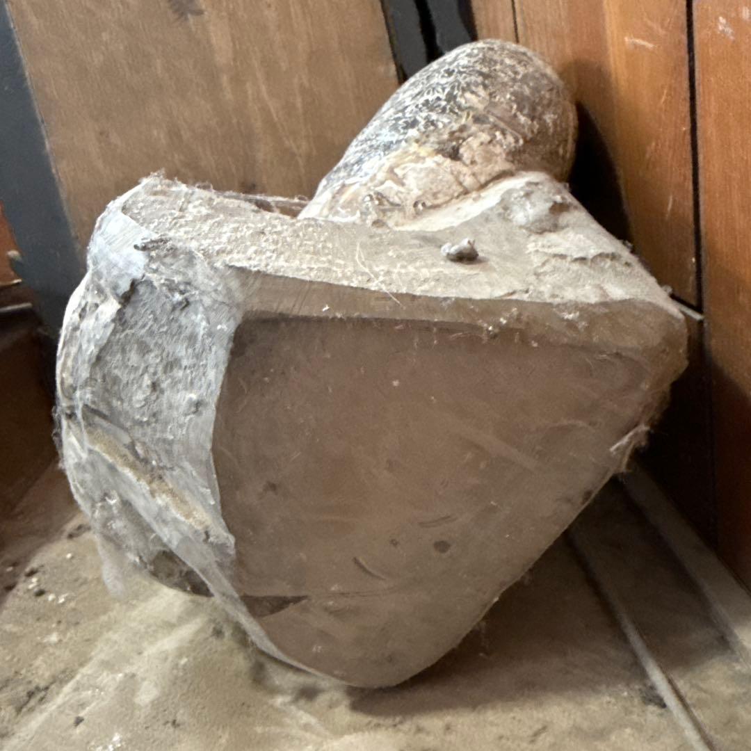 アンモナイト化石 約30cm