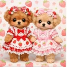 ☆受付☆トイプードル No.A