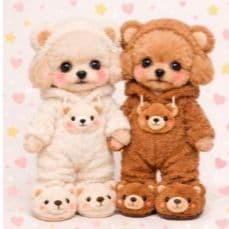 ☆受付☆トイプードル No.A