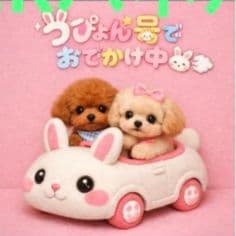 ☆受付☆トイプードル No.A