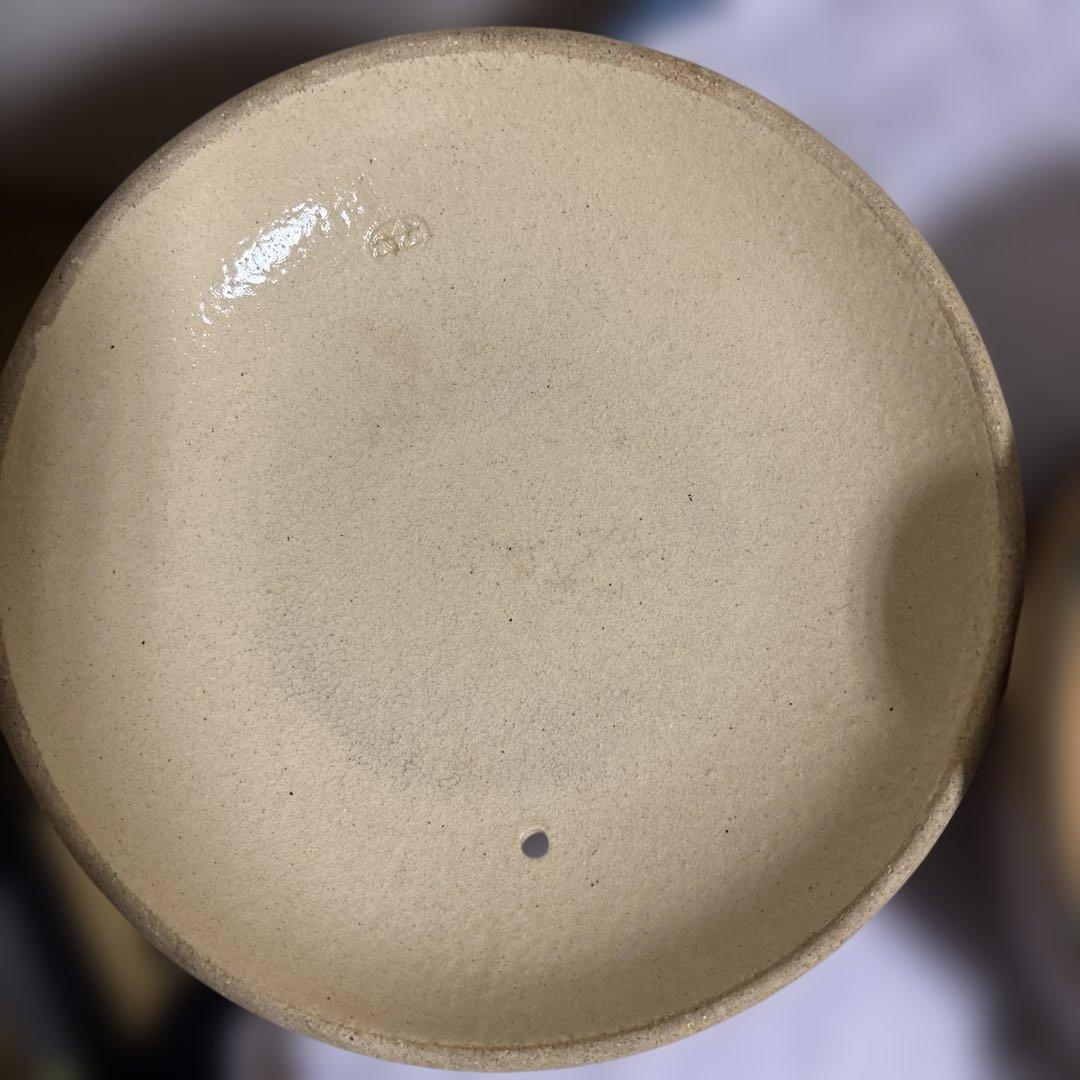 ちゃちゃ 伝統的な和柄の土鍋11号 利行　希少