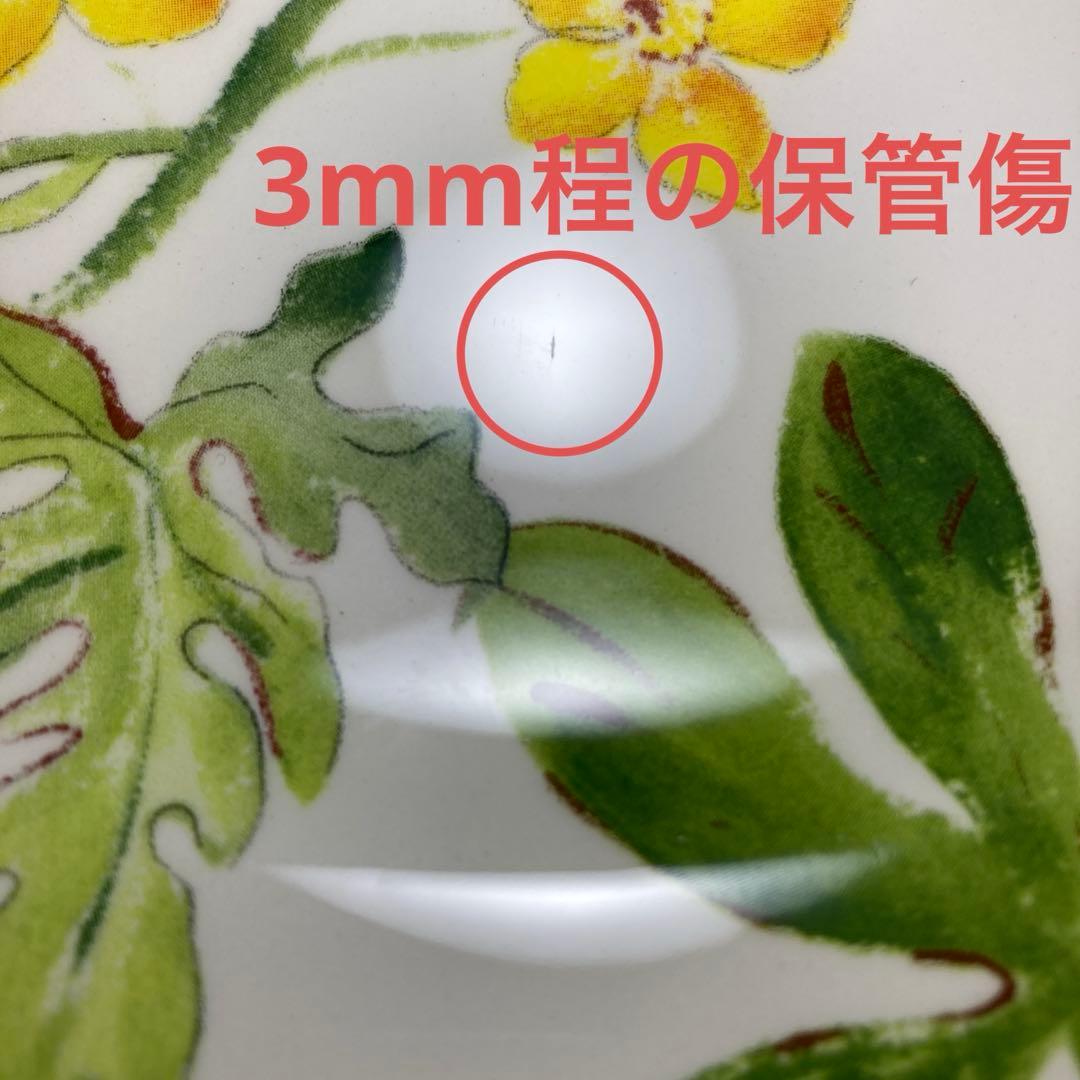 ジアン　パシフロール　エデン　プレート　デザート　カナッペ　パン　ケーキ　丸皿