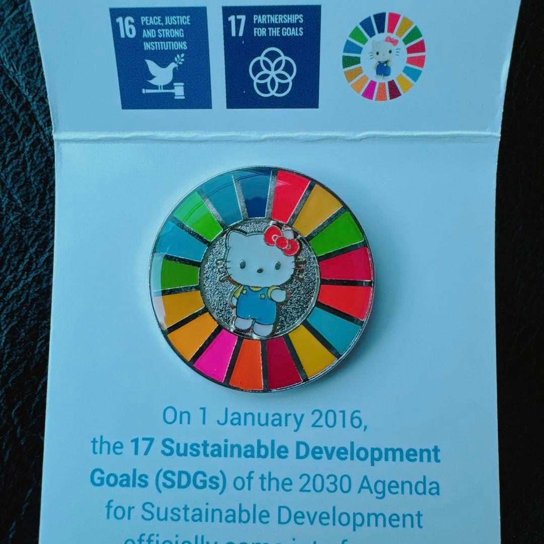 新品未使用】SDGs ピンバッジ ハローキティ - メルカリ