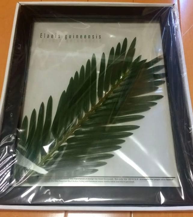 東京インテリア 壁掛け 2枚