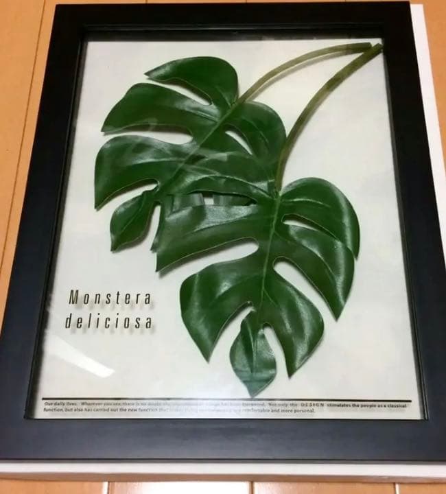 東京インテリア 壁掛け 2枚