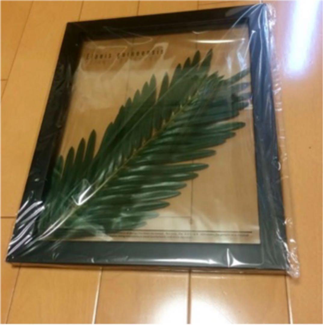 東京インテリア 壁掛け 2枚