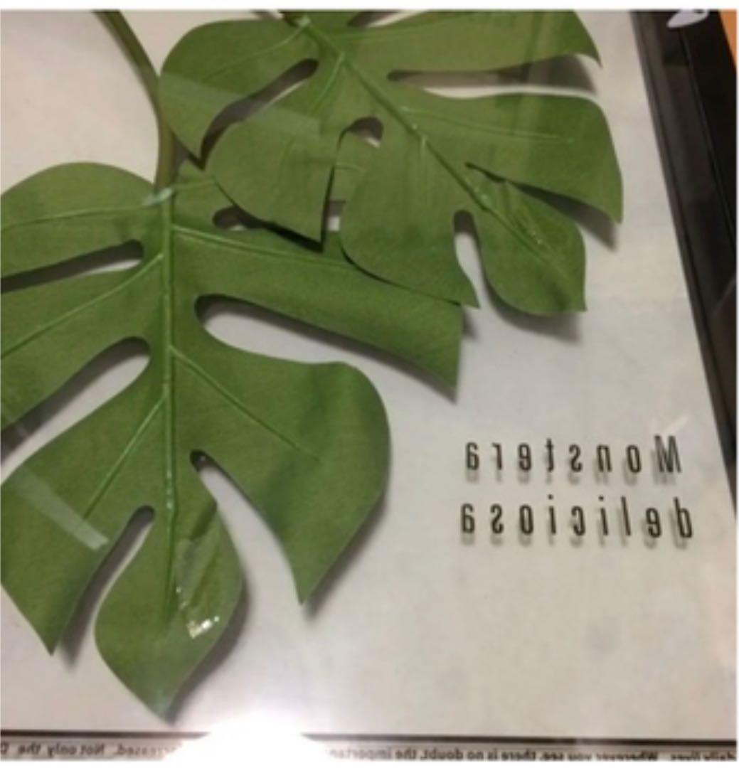 東京インテリア 壁掛け 2枚