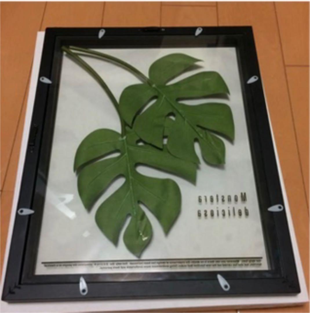 東京インテリア 壁掛け 2枚