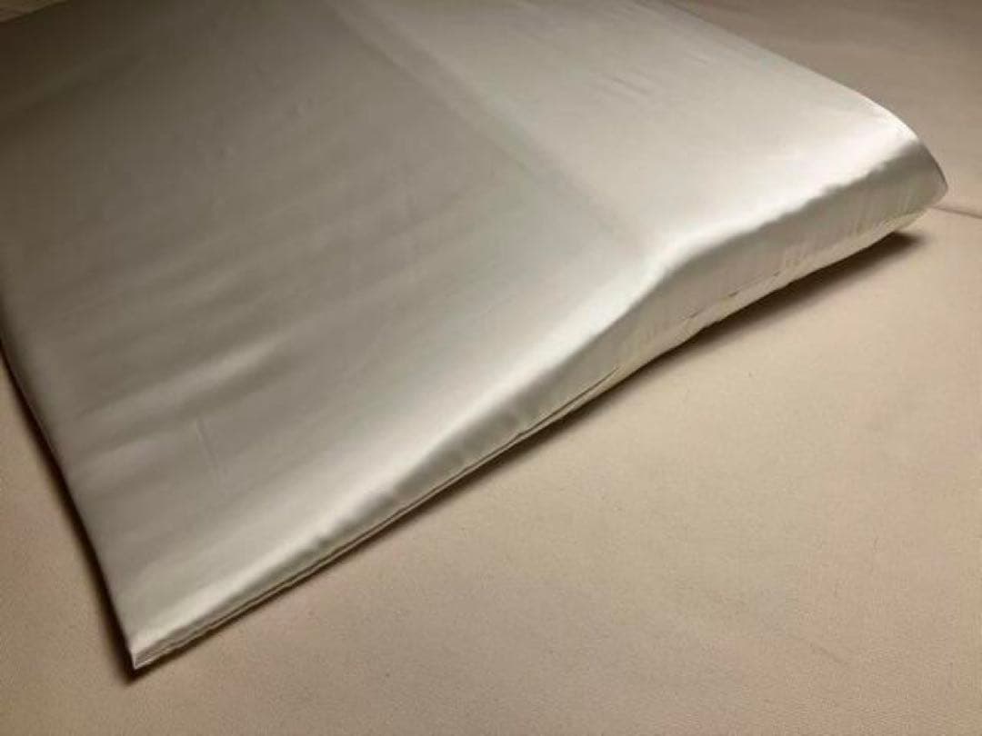 トゥルースリーパー　枕カバー　シルク　100％　19匁　セミダブルサイズ　日本製