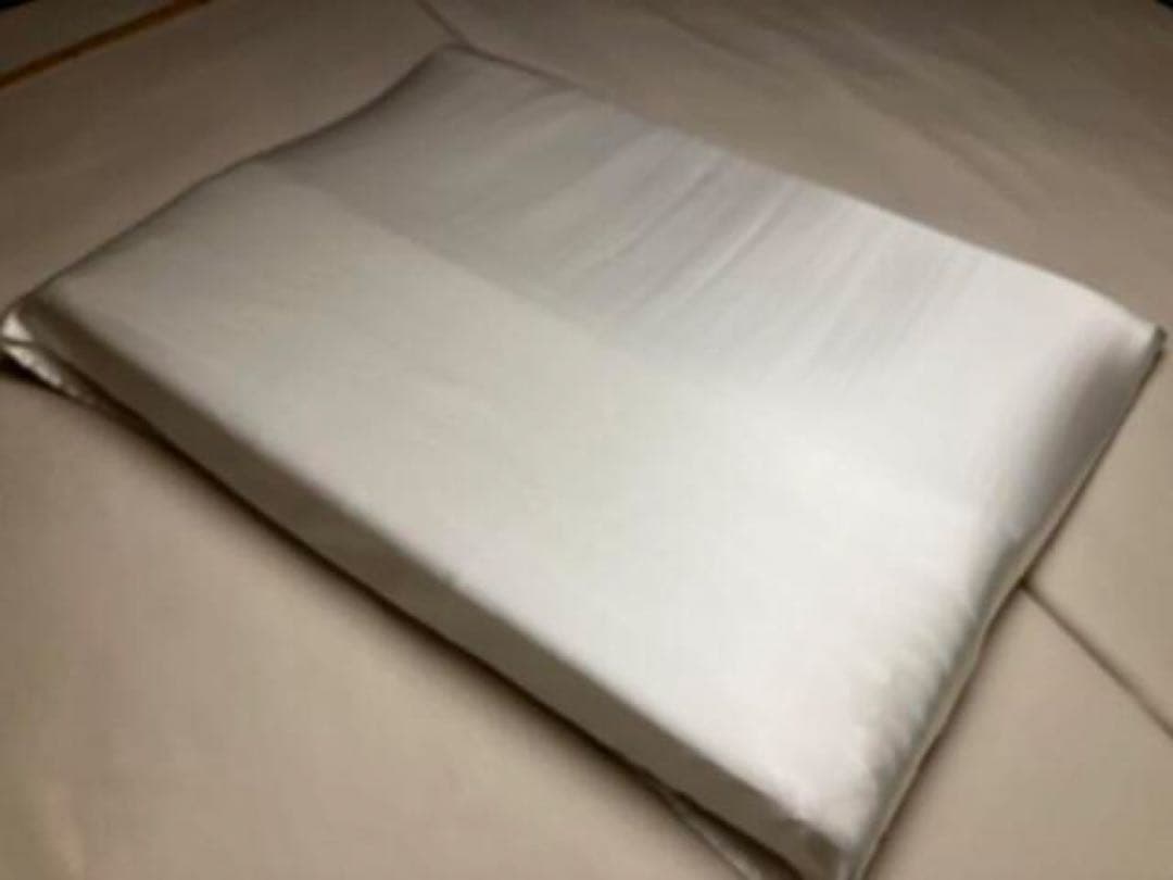 トゥルースリーパー　枕カバー　シルク　100％　19匁　セミダブルサイズ　日本製