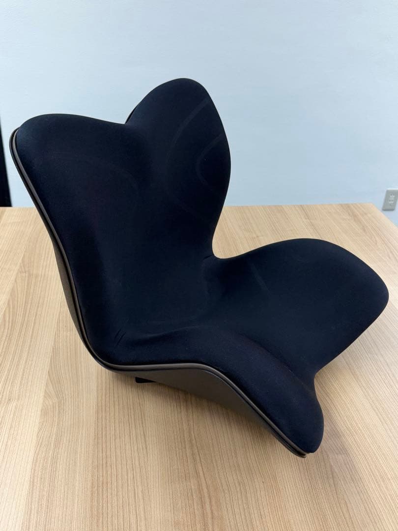 Style PREMIUM 骨盤・姿勢矯正クッション