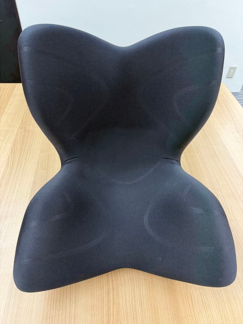 Style PREMIUM 骨盤・姿勢矯正クッション