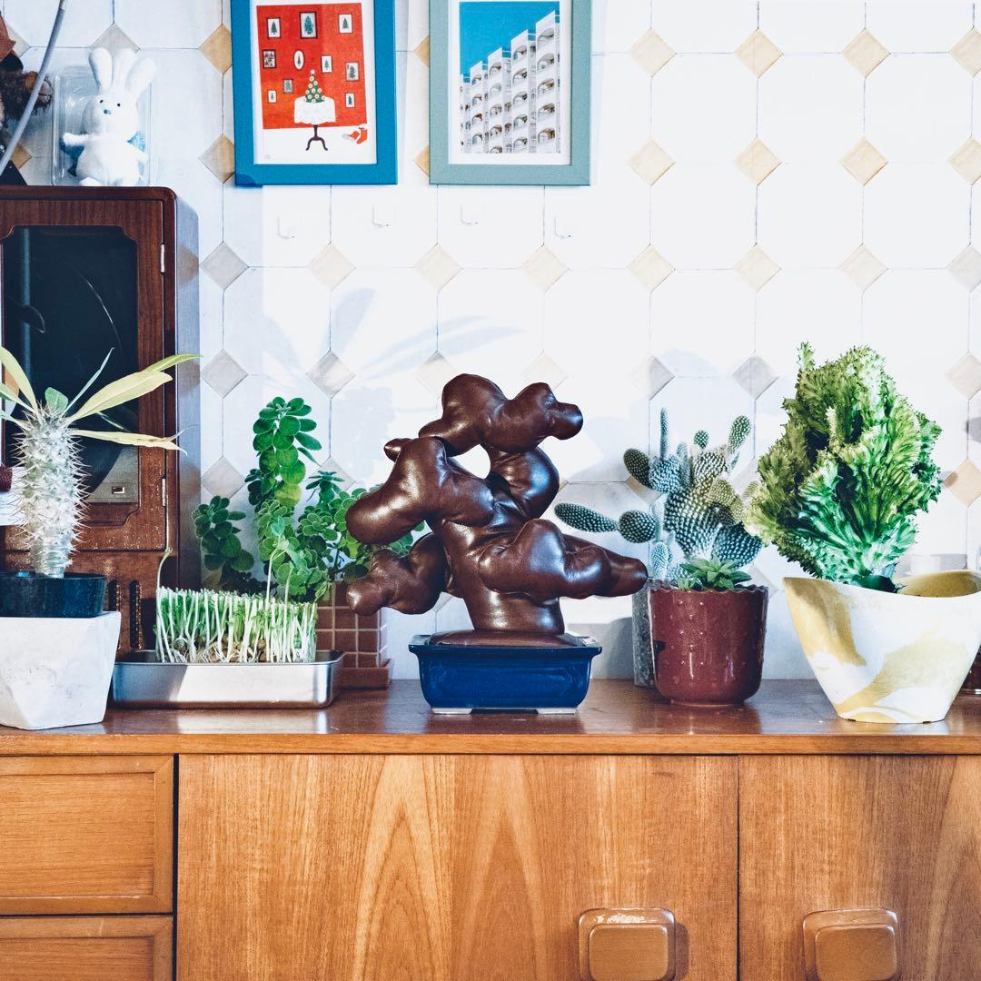 レザー盆栽　ダークブラウン　leather BONSAI