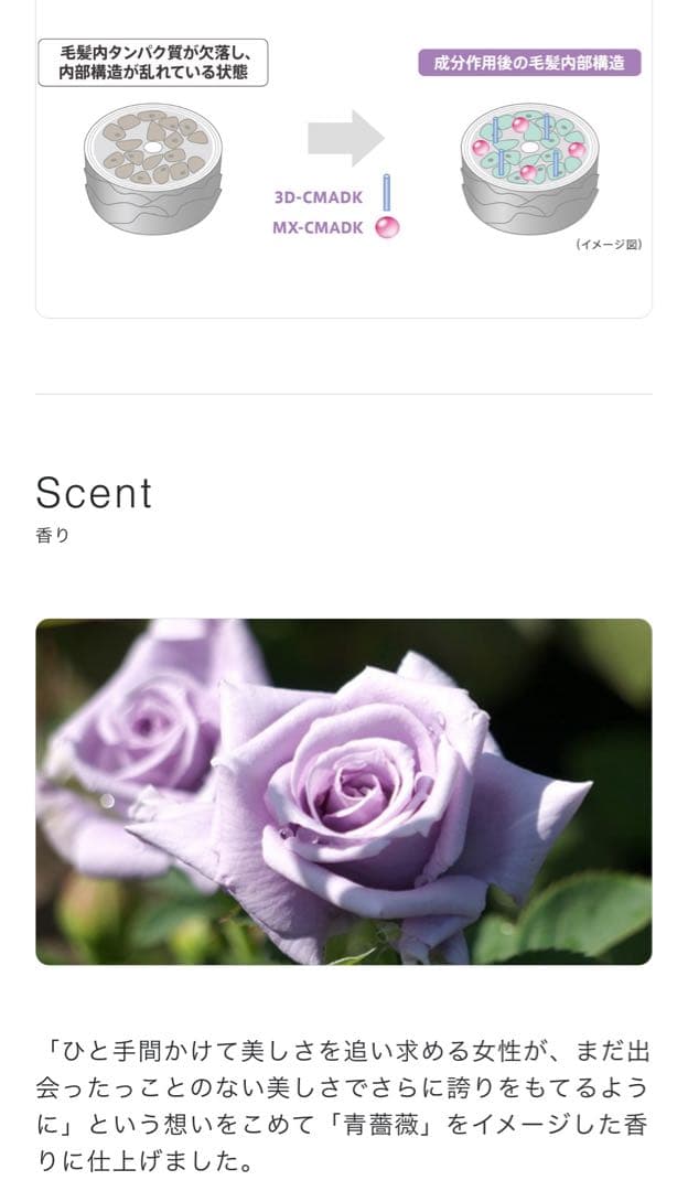 ミルボン オージュア インメトリィ シャンプー トリートメント 1000ml