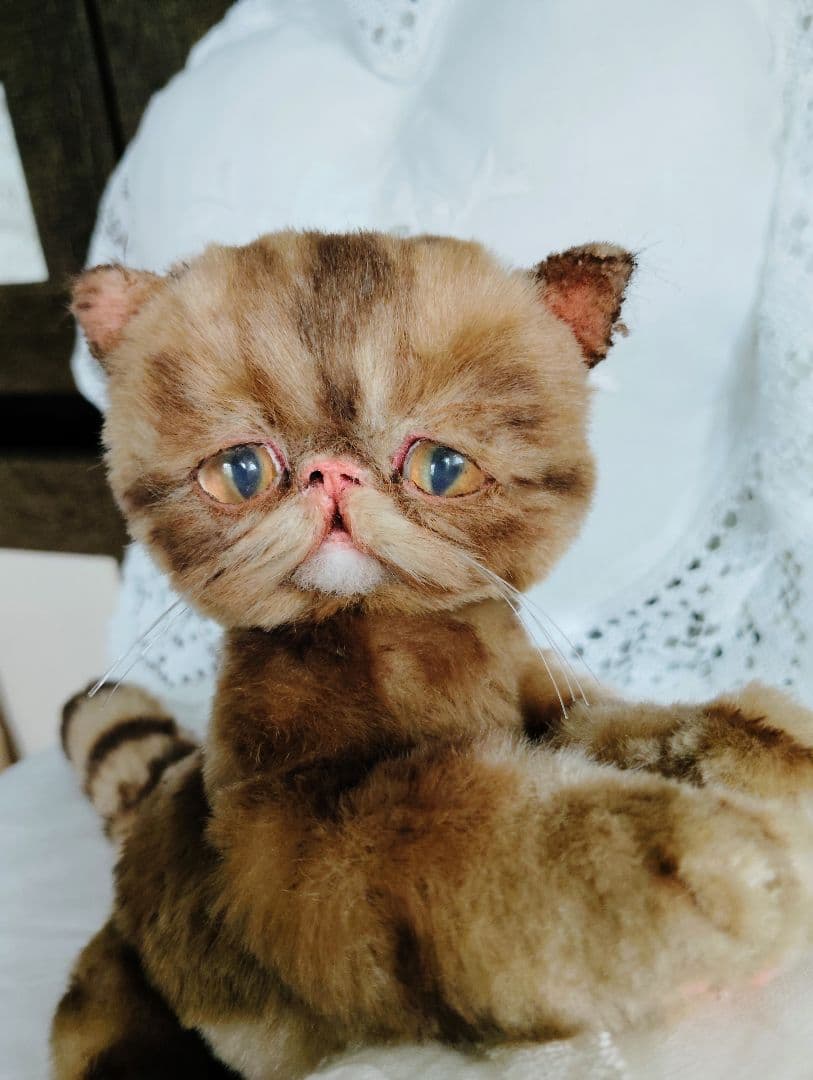 茶トラ♡エキゾチック子猫ちゃん♡高級ファー♡アートドール♡ぬいぐるみ♡