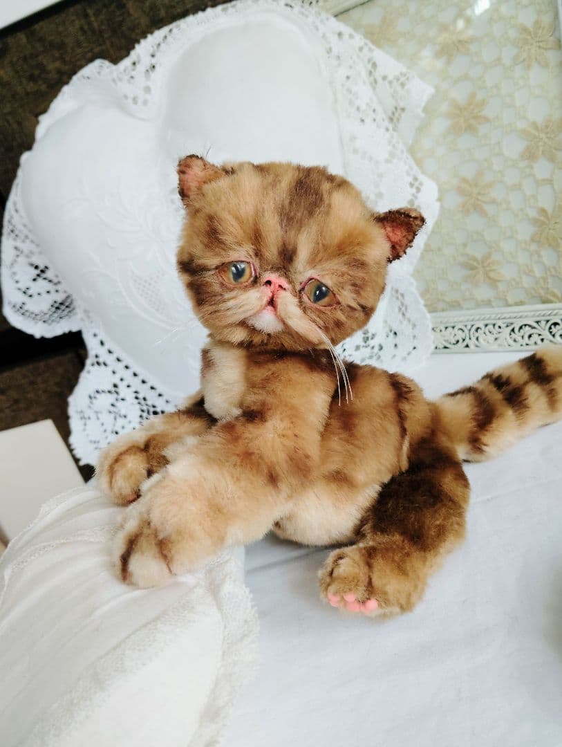 茶トラ♡エキゾチック子猫ちゃん♡高級ファー♡アートドール♡ぬいぐるみ♡