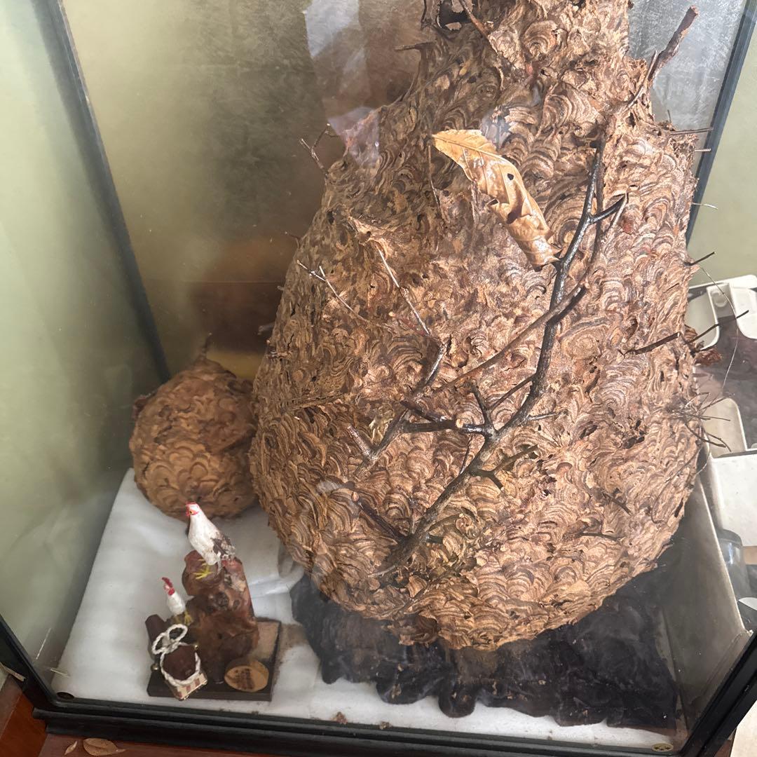 自然素材のユニークな置物