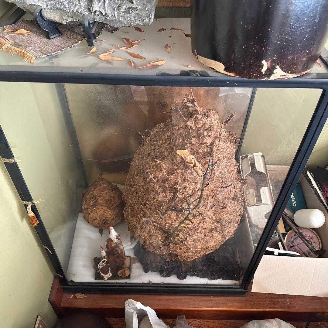 自然素材のユニークな置物