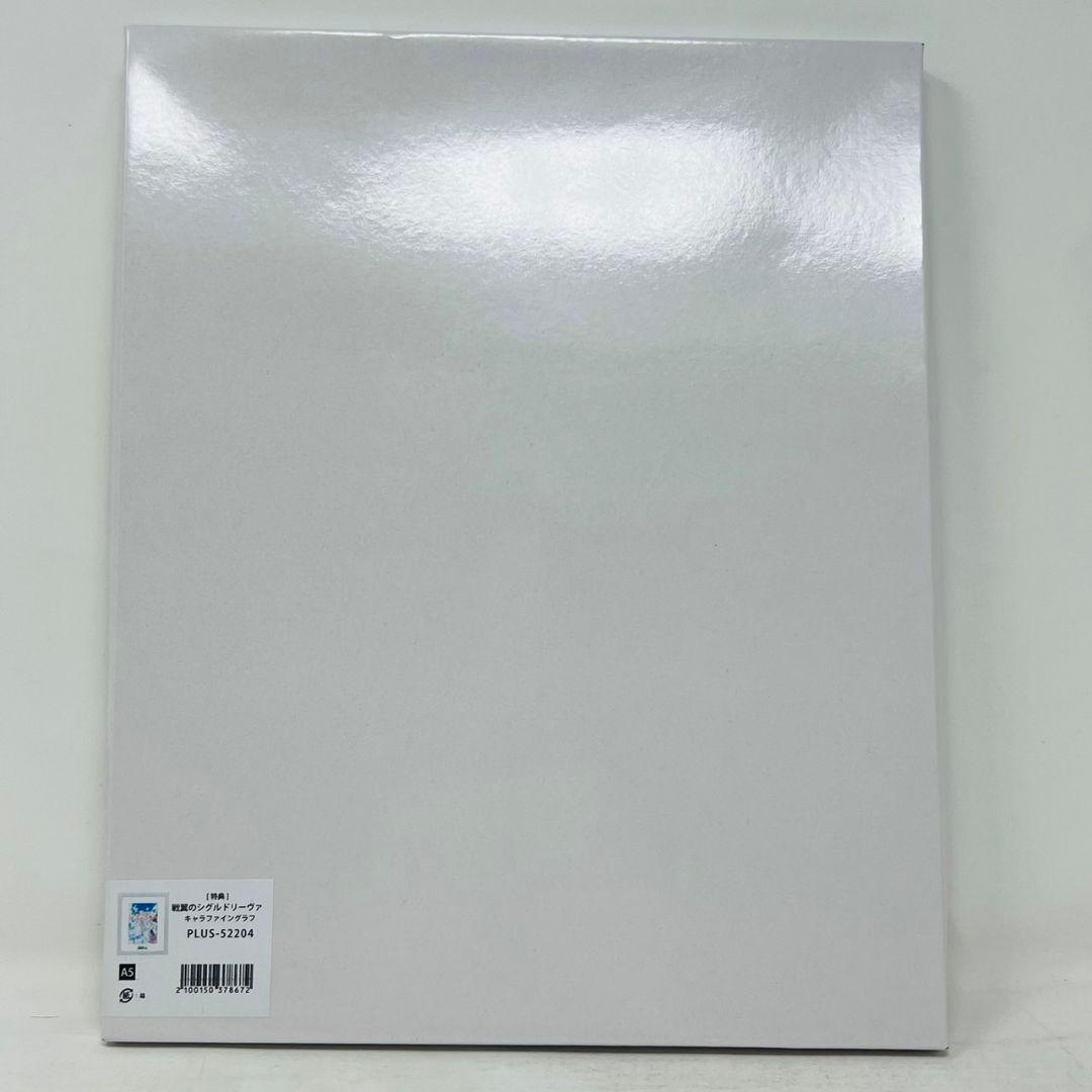 戦翼のシグルドリーヴァ アニプレックス特典 A5 キャラファイングラフ