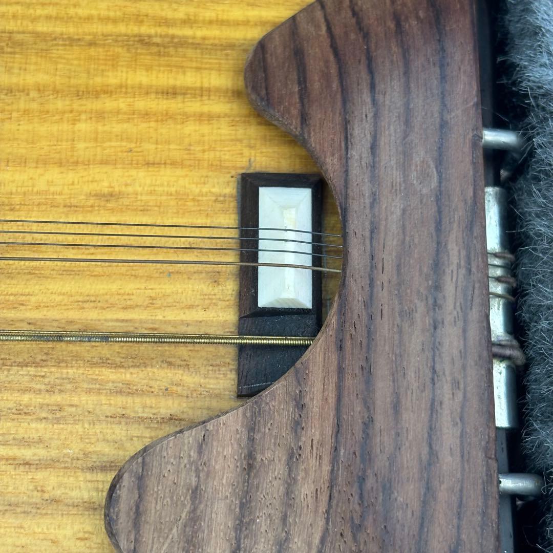 希少 全音 電気大正琴 彩 いろどり 付属品 ハードケース 音出し確認