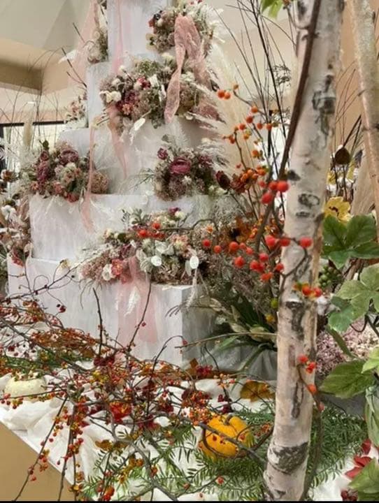 北海道　白樺の木　店舗用インテリア　雑貨　ディスプレイ