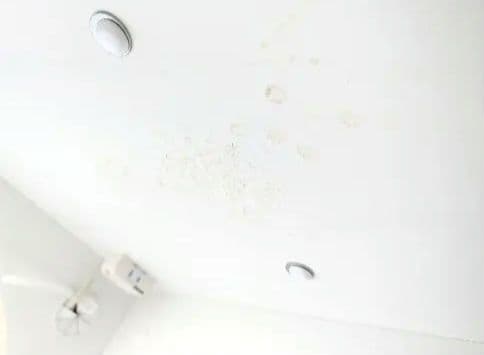 【今年12/31まで】食器棚　ニトリ キッチンボード リガーレ幅160cm白